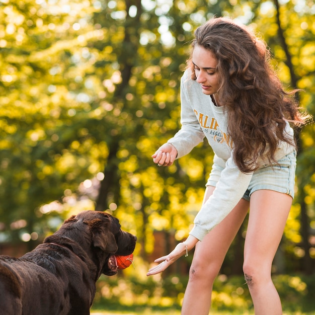 Young woman taking ball from dog's mouth