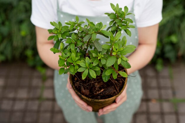 彼女の植物の世話をする若い女性