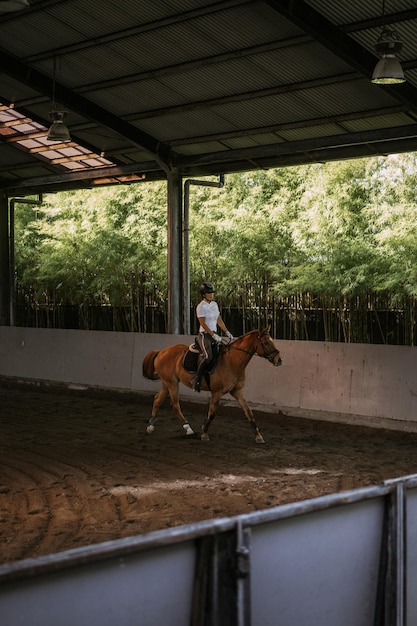 若い女性は、アリーナで乗馬の訓練をします。砂浜のアリーナを横切って乗馬するフォーマルな服を着た若い白人女性。乗馬スポーツのための血統の馬。馬に乗ったスポーツ選手