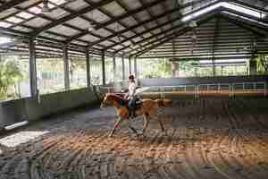 Foto gratuita la giovane donna si allena a cavallo nell'arena. giovane donna caucasica in abbigliamento formale a cavallo attraverso l'arena sabbiosa. un cavallo di razza per lo sport equestre. la sportiva a cavallo