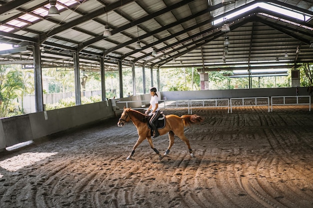 Young woman trains in horseback riding in the arena. Young Caucasian woman in formal clothing horseback riding across the sandy arena. A pedigree horse for equestrian sport. The sportswoman on a horse