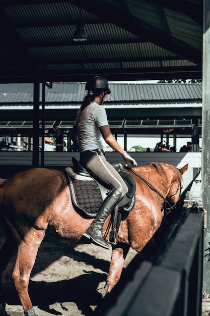 Free photo young woman trains in horseback riding in the arena. young caucasian woman in formal clothing horseback riding across the sandy arena. a pedigree horse for equestrian sport. the sportswoman on a horse