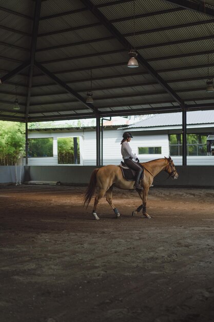 Young woman trains in horseback riding in the arena. Young Caucasian woman in formal clothing horseback riding across the sandy arena. A pedigree horse for equestrian sport. The sportswoman on a horse