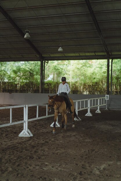 Young woman trains in horseback riding in the arena. Young Caucasian woman in formal clothing horseback riding across the sandy arena. A pedigree horse for equestrian sport. The sportswoman on a horse