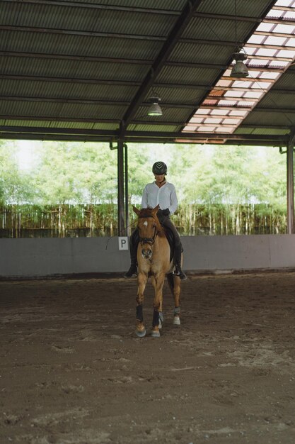 Young woman trains in horseback riding in the arena. Young Caucasian woman in formal clothing horseback riding across the sandy arena. A pedigree horse for equestrian sport. The sportswoman on a horse