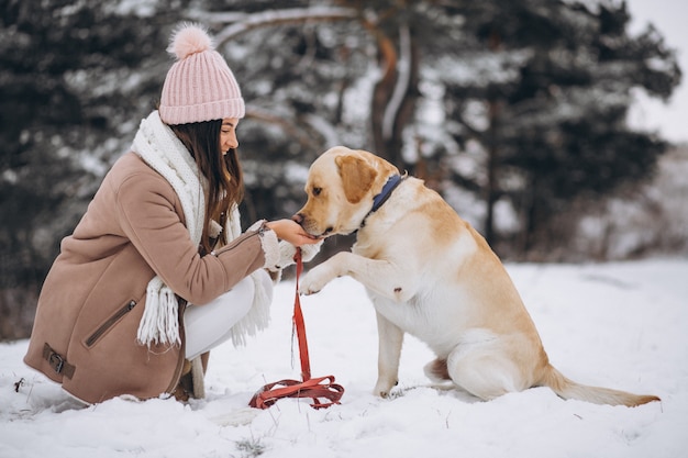冬の公園で彼女の犬を連れて歩いて若い女性