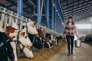 Foto gratuita giovane donna con il secchio e alla stalla che alimenta le mucche