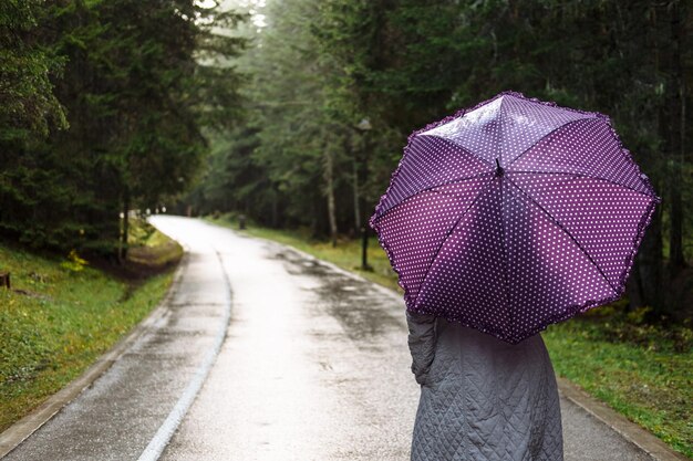 Молодая женщина с фиолетовым зонтиком гуляет по осеннему парку Дурмитор Черногория