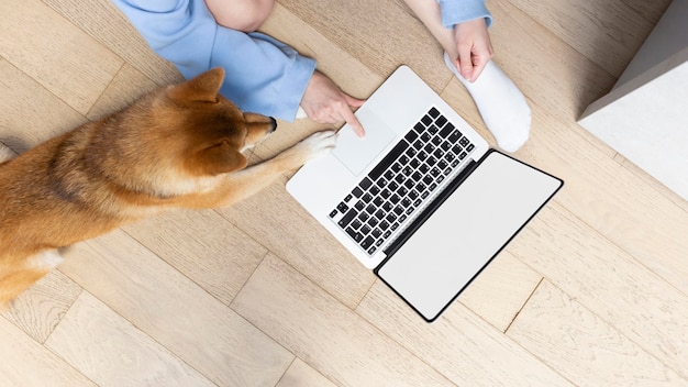 Foto gratuita giovane donna che lavora al suo computer portatile accanto al suo cane