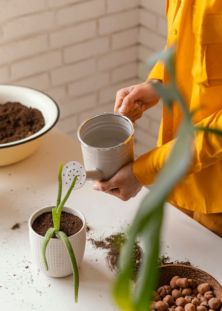 Young woman in yellow shirt gardening at home