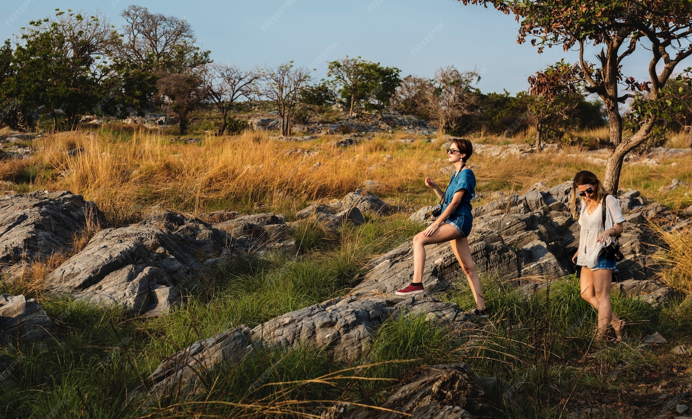 National Parks: Journey into the Wild