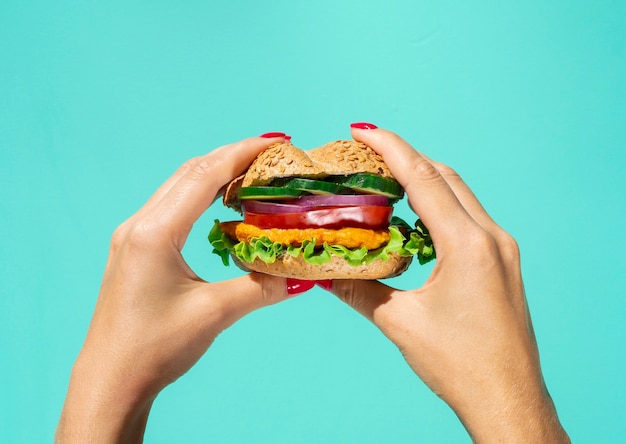 Yummy burger with salad and vegetables 