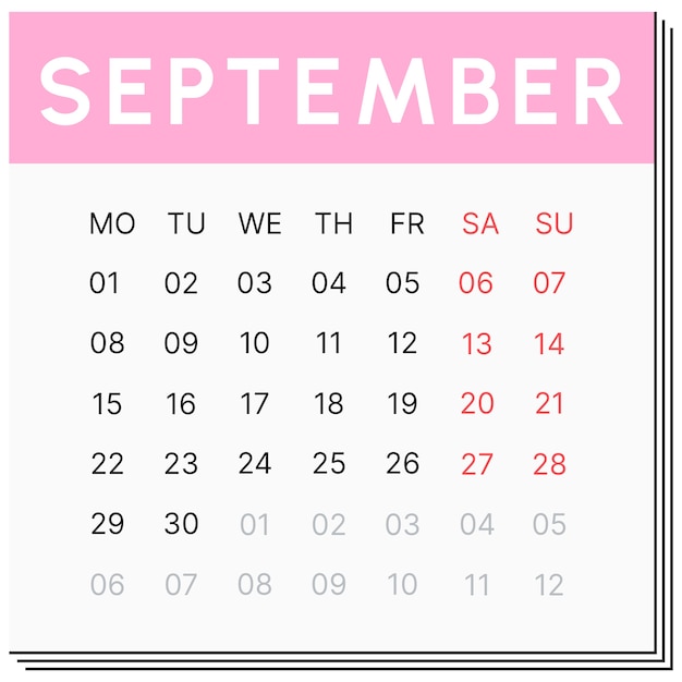 2025 monthly calendar  illustration
