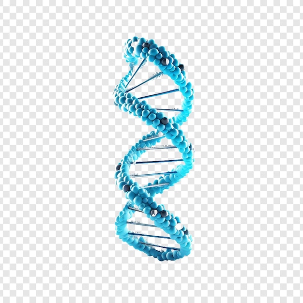 3d 파란색 dna 헬릭스 염기서열 요소가 투명한 배경에 분리되었습니다.