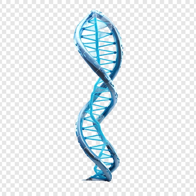 3d blue dna helix sequence element isolated on transparent background