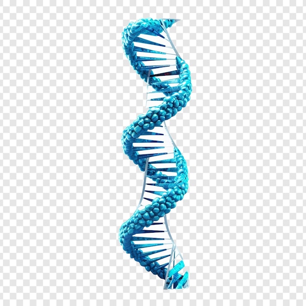 Elemento di sequenza di elica di dna blu 3d isolato su sfondo trasparente