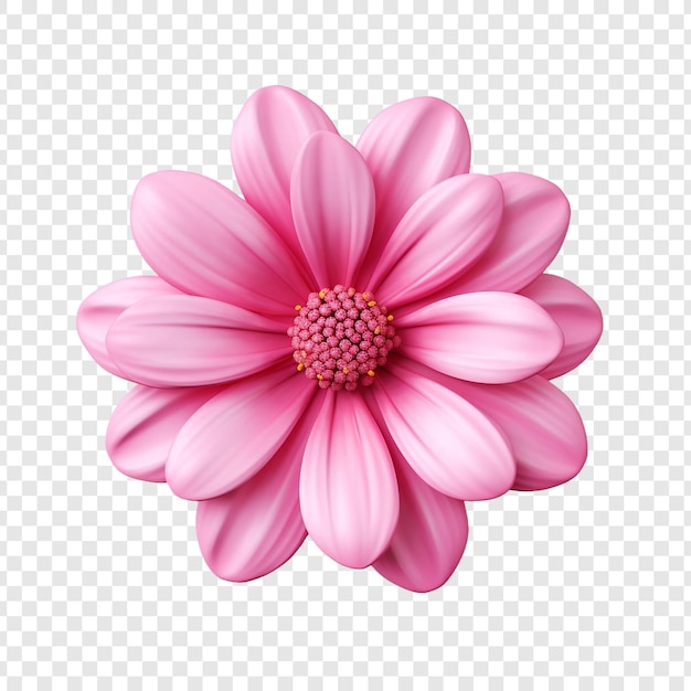 透明な背景に分離された3dピンクの花