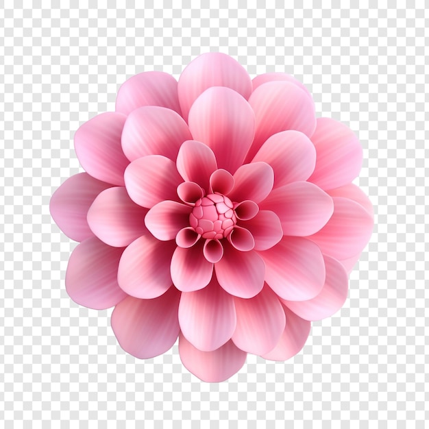 3d pink flower isolated on transparent background
