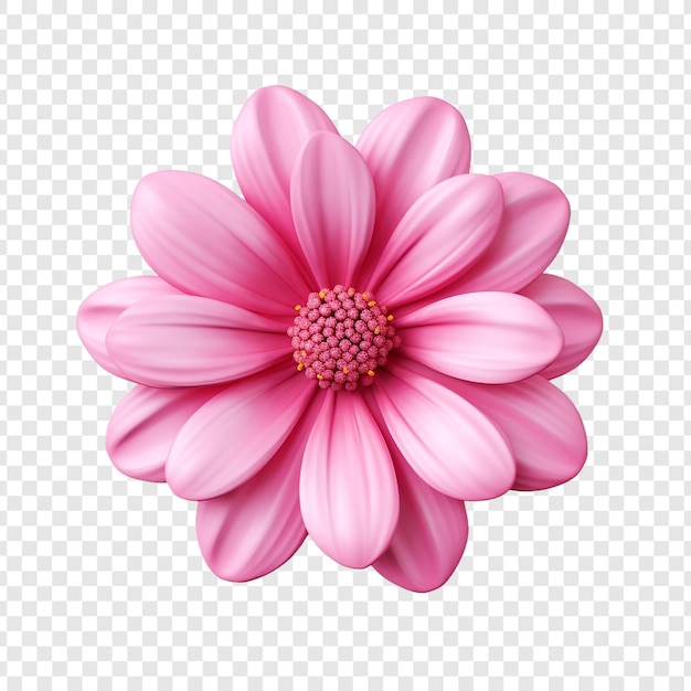 3d pink flower isolated on transparent background