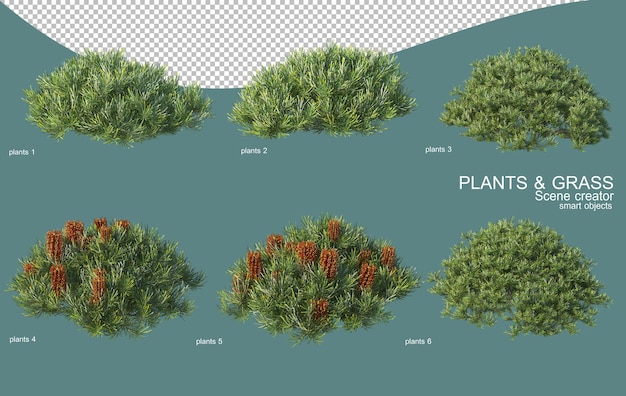 3d rendering of grass and shrub arrangements