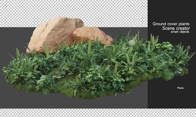 덮개 식물과 큰 바위의 3d 렌더링 프리미엄 PSD 파일