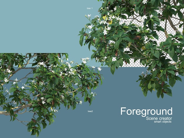 3d rendering of trees foregroung isolated