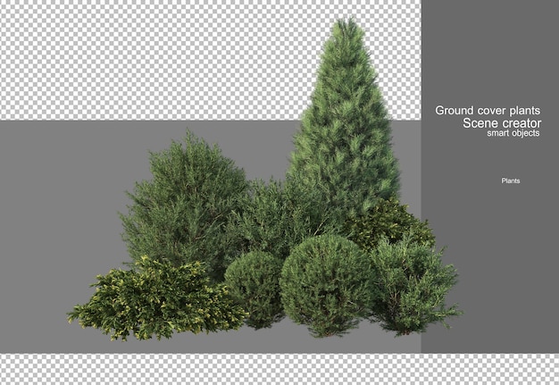 3d rendering of various tree designs