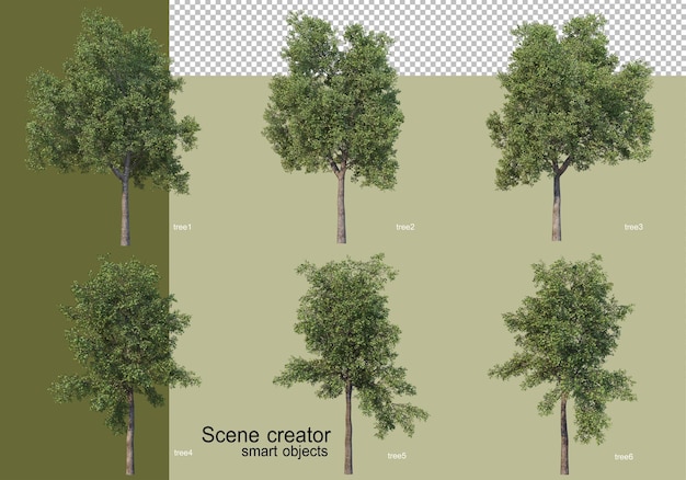 3d rendering of various trees isolated