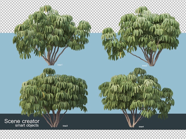 3d rendering various types of trees