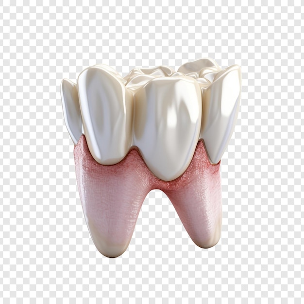 透明な背景に隔離された健康な歯の中の痛い歯