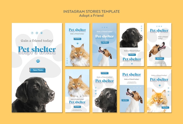 Free PSD adopt a friend instagram stories