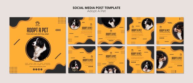adopt a pet border collie dog social media post
