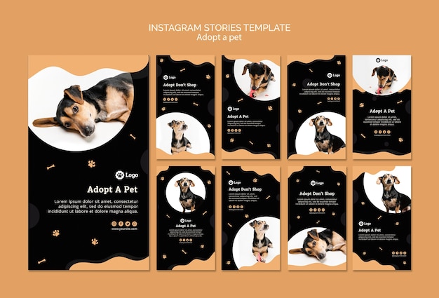 Adopt a pet concept instagram stories template