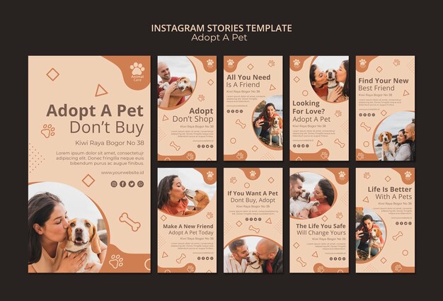 adopt pet instagram stories template