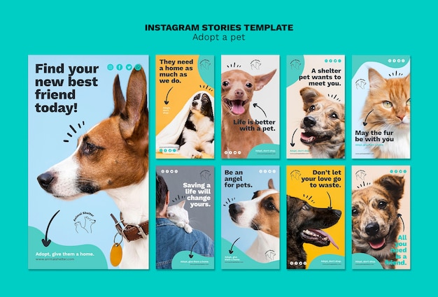 PSD gratuito adotta storie di instagram per animali domestici