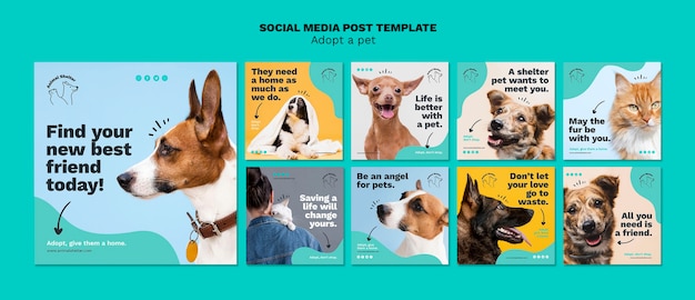 Adotta un post sui social media per animali domestici