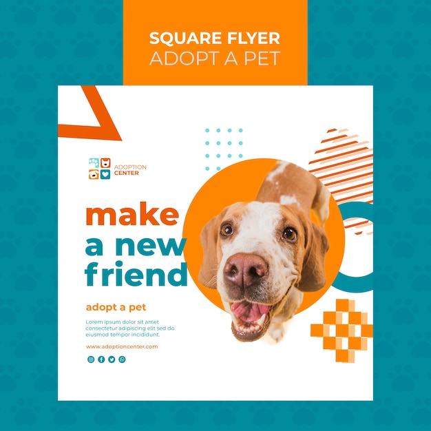 PSD gratuito adotta un design volantino quadrato per animali domestici