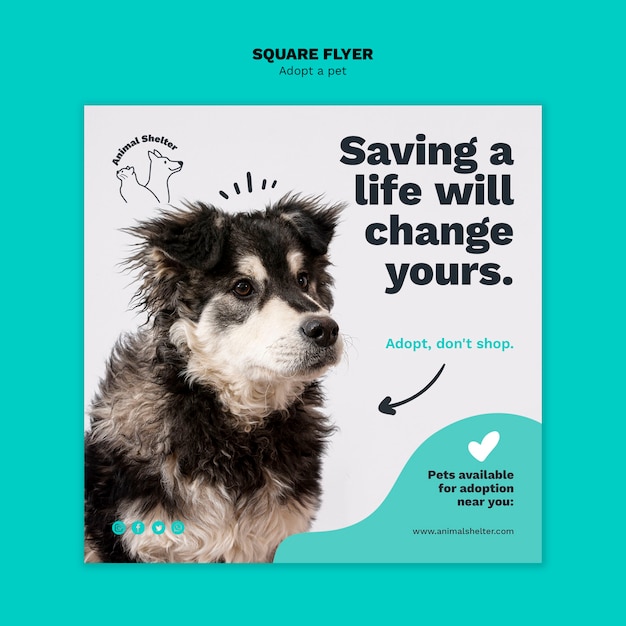 Free PSD adopt a pet square flyer