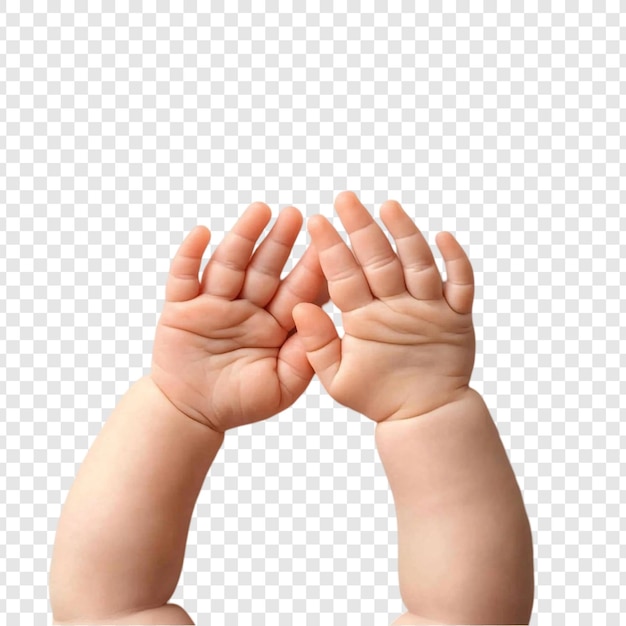 Adorable Baby Hands Reaching Up