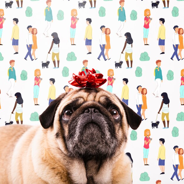 Download Dog Clothes Psd 10 High Quality Free Psd Templates For Download