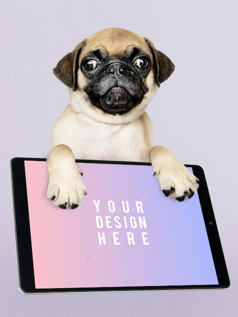 Adorable pug puppy with digital tablet mockup