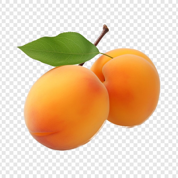 Free PSD apricot isolated on transparent background