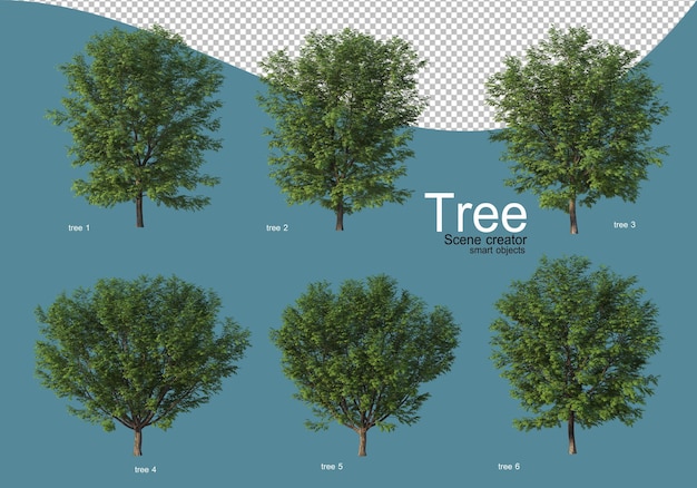 Arrangement of various types of trees in different colors