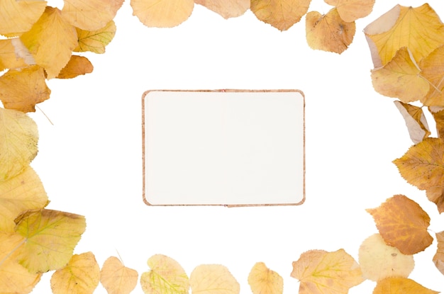 Free PSD autumn foliage frame design