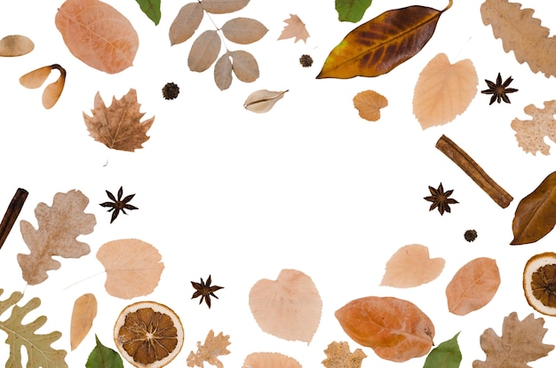 Autumn foliage frame design