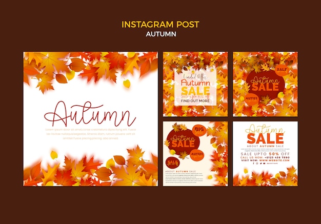 Free PSD autumn season  instagram posts