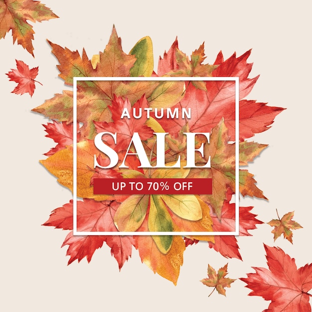 Free PSD autumn-themed banner with border frame