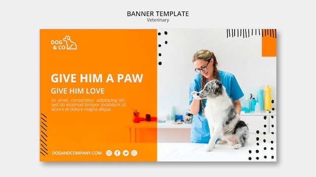 Banner template with veterinary concept