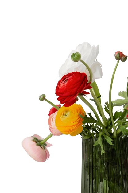 Beautiful flower headshot still life