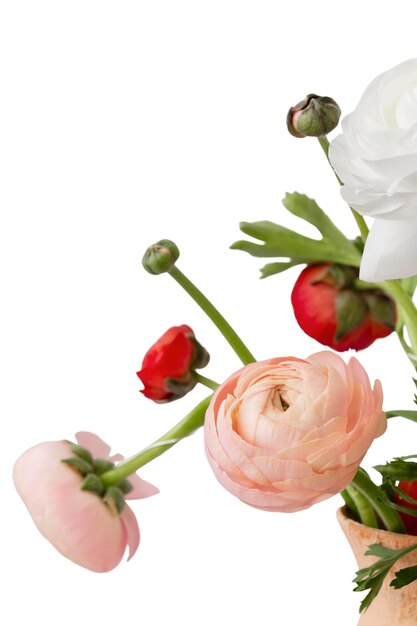 Beautiful flower headshot still life